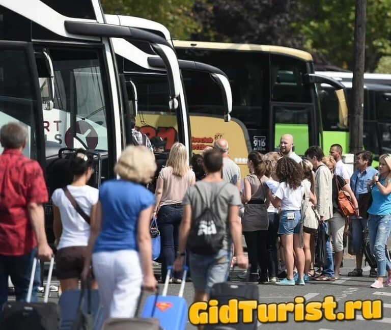 Как доехать до Сочи на автобусе – междугородний рейс