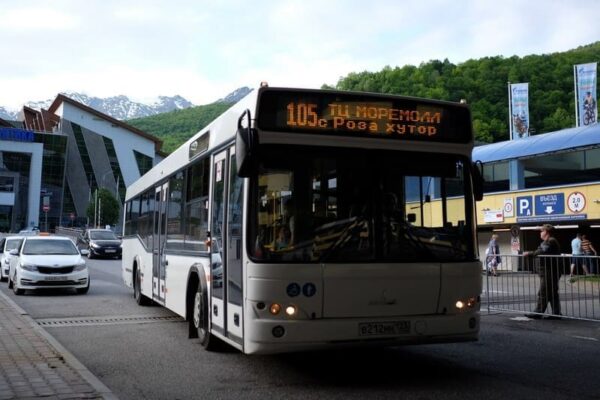 105 автобус сочи